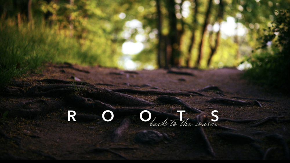 Roots