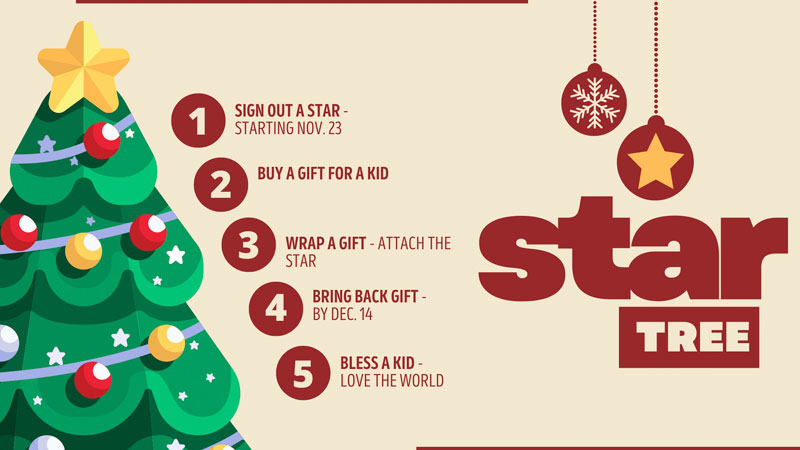 star-tree-25-homepage